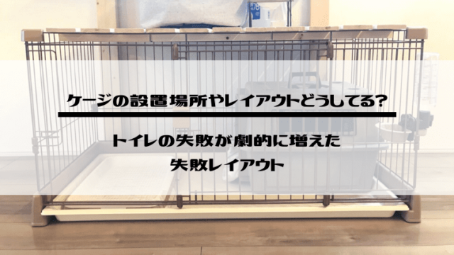 犬のケージの設置場所 レイアウトを紹介 トイレの成功率が下がった失敗レイアウトも教えます ネロログ