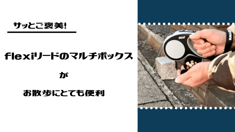 散歩中にサッとご褒美！flexiリードのオプションパーツがとても使い勝手がイイからオススメ！｜ネロログ