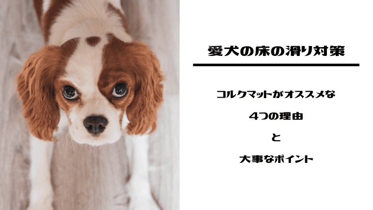 犬の床滑り対策はコルクマットがオススメな理由４つとコスパ最高に利用するポイント ネロログ