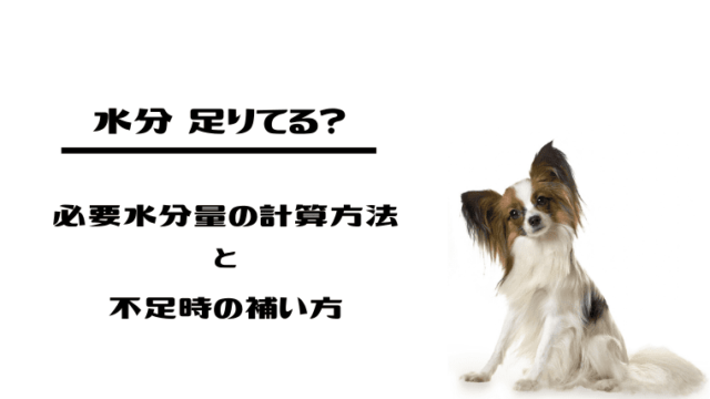 犬のお世話 ケージとトイレの掃除頻度と内容は 毎日掃除と週１掃除でキレイをキープしよう ネロログ